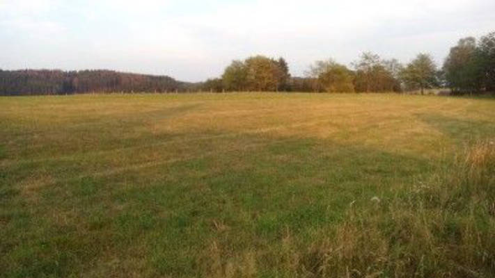 Quiet farmyard pitch near A4, ideal for breaks