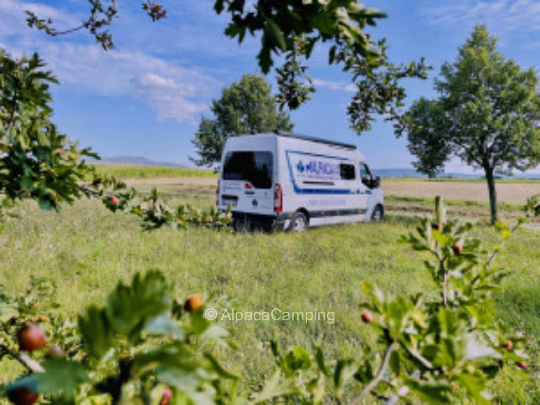 Camping on the field in Wiebelsberg