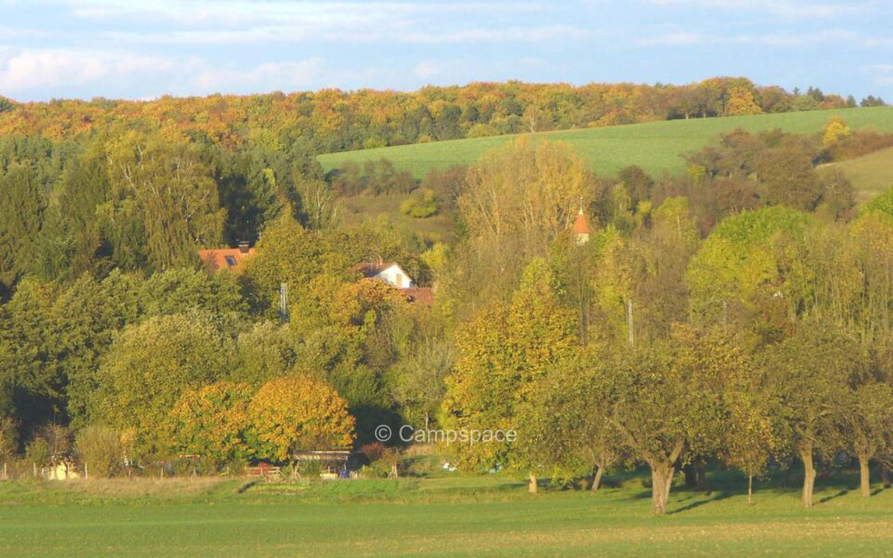 Kleineicholzheim- where fox and moose say good night !