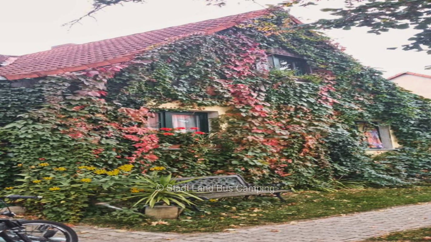 Connys Naturoase - Stellplatz Zwei