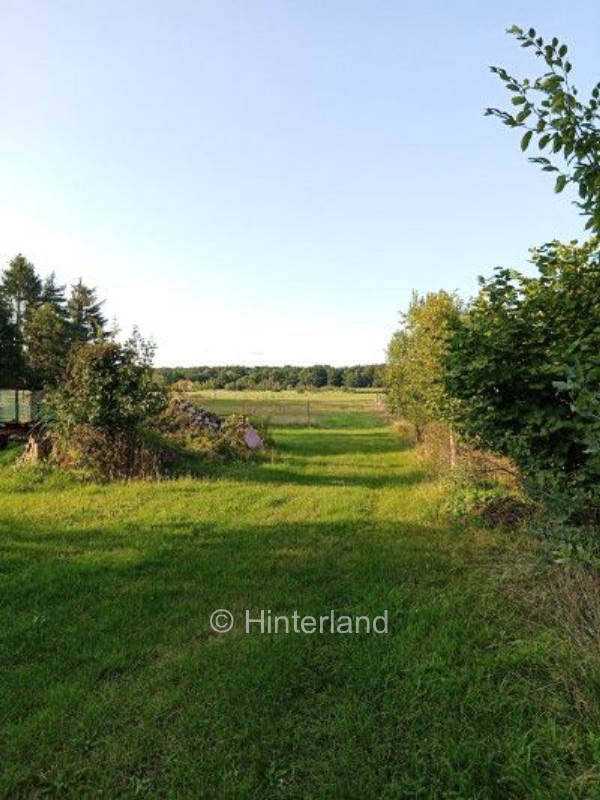 Camping in quiet meadows and forest landscape