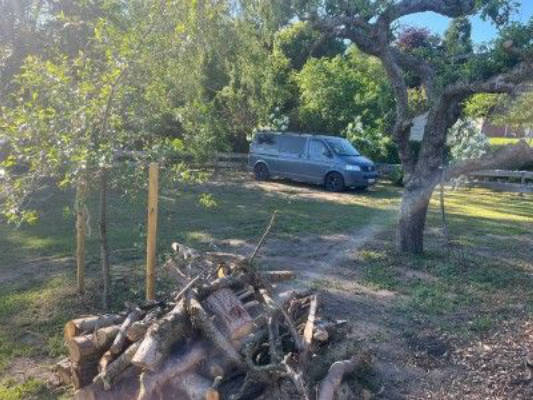 Camping in the Flieder Curve