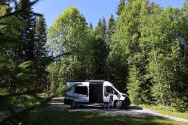 Naturplatz im Wald: Stille & Natur pur