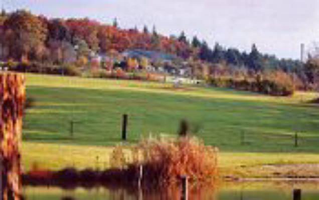 Höhenhof