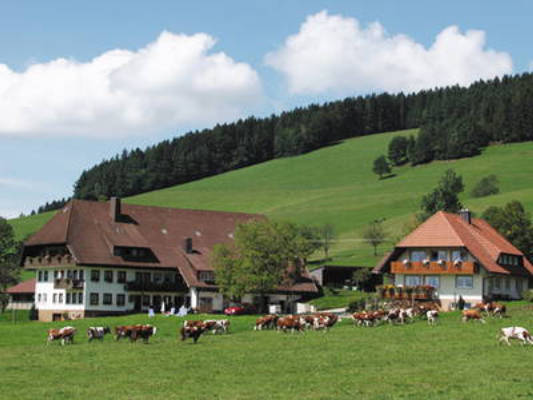 Ingritthof