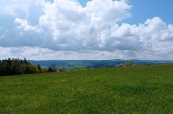 Panorama view of the organic farm