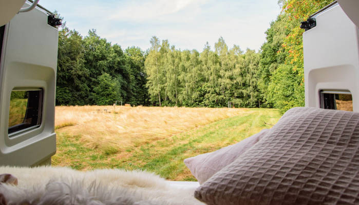 Harzblick fur dich u deine freunde