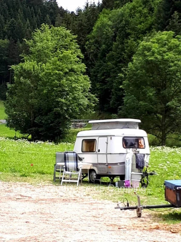 Stellplatz Schwarzwald Wiese