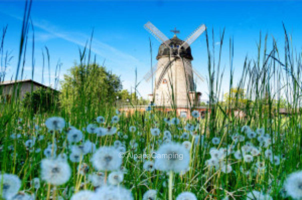 Natur pur #3