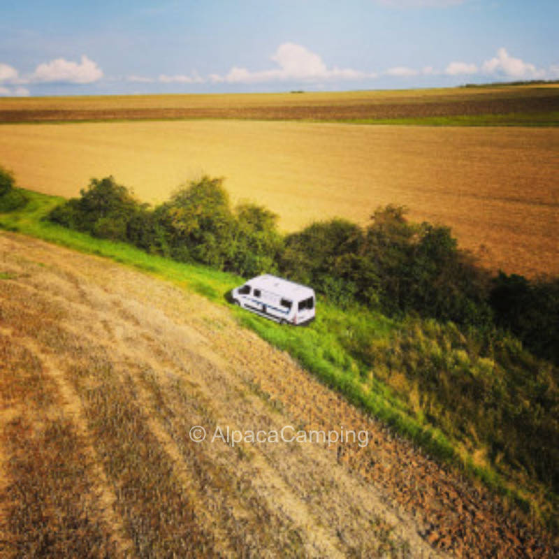 Auf der einsamen Blumenwiese