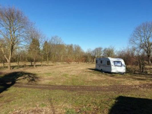 Seele baumeln lassen auf dem Hofgut