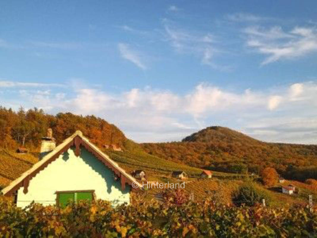 Naturerlebnis zwischen Wald, Wein und Wiesen, privater Stellplatz