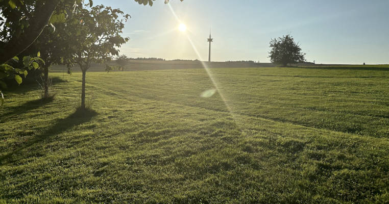 Walthers Wiesenblick