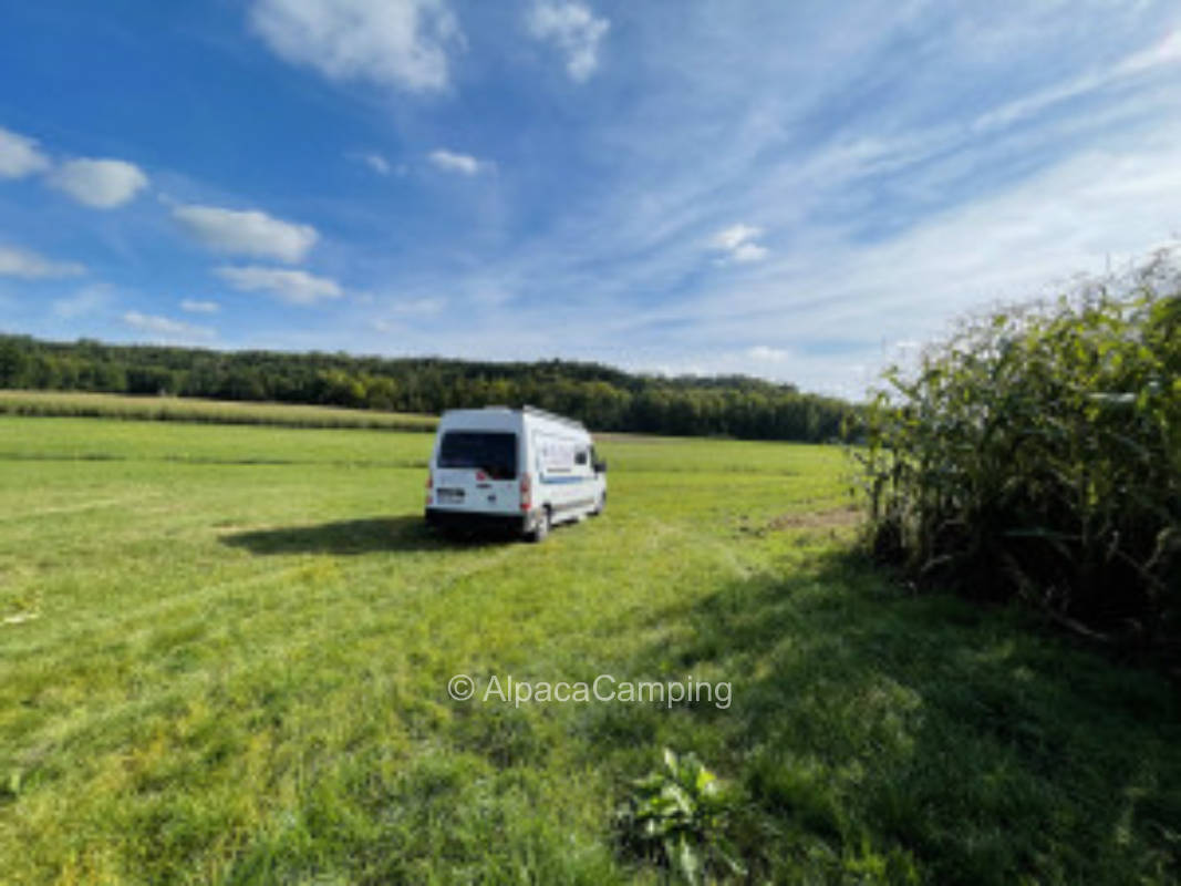 Direkt am Bach: Erholsame Zeit am Fuße des Pfannenberges in der grünen Au am Degenbach #2