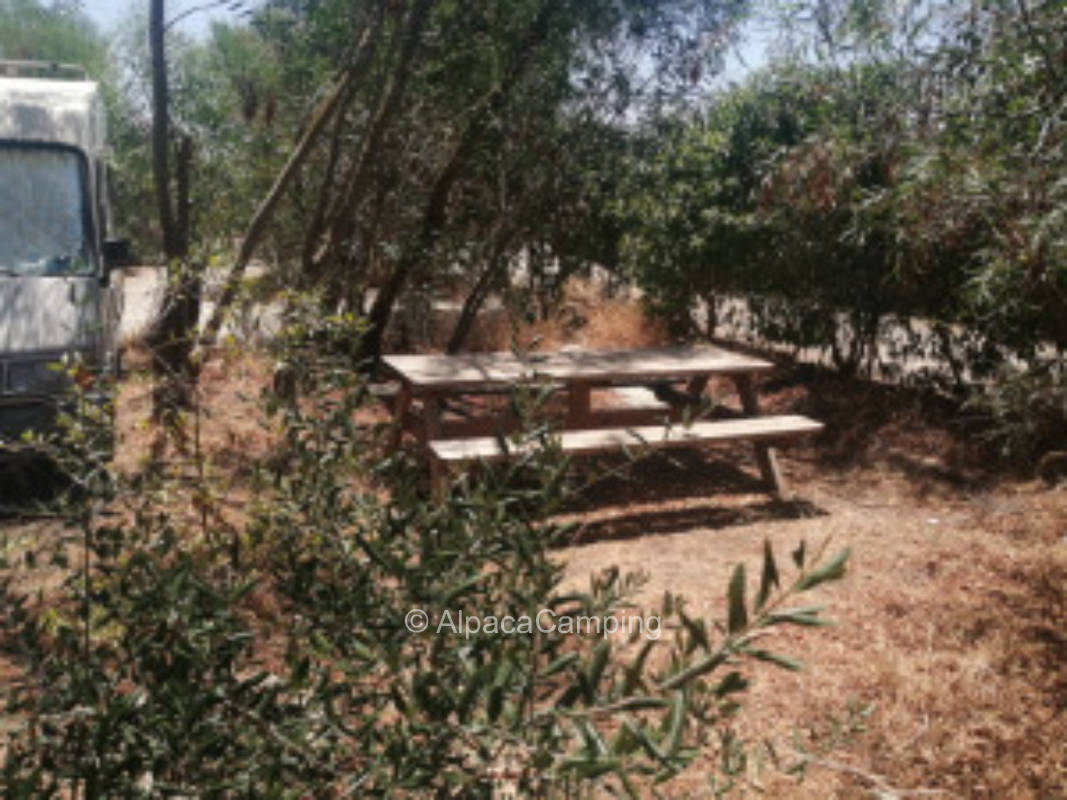 Geteilter Stellplatz La Jauja in El Palmar de Vejer de la Frontera #1