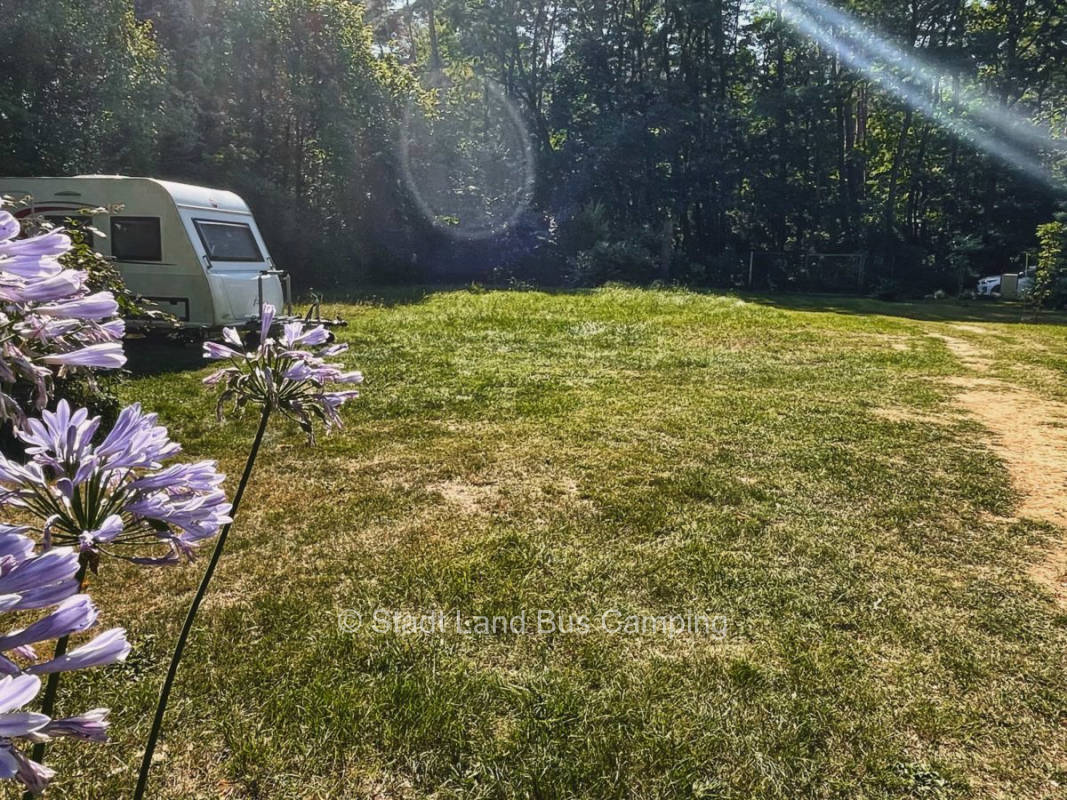 An dieser Hütte im Wald zwei