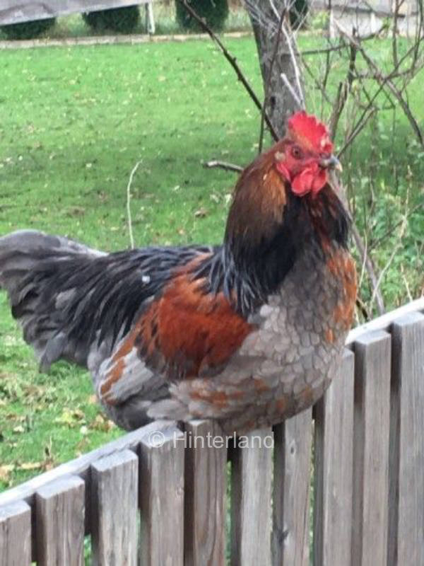 zwischen Fichtelgebirge und fränkischer Schweiz 