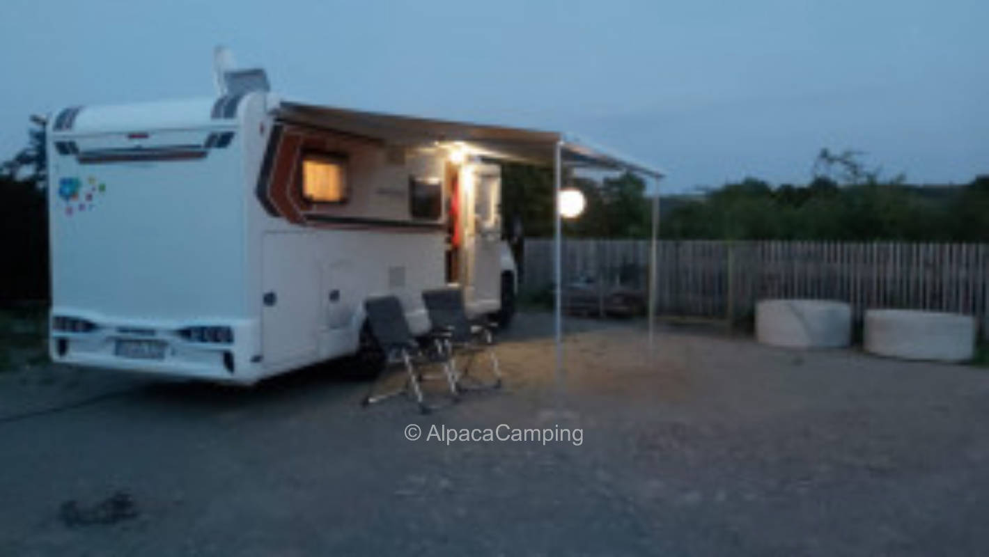 At the wildflower meadow #2