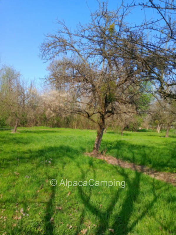 " An der Aussiedlung" #1