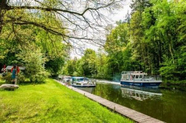 Natural campsite on the forest edge directly on the Elde