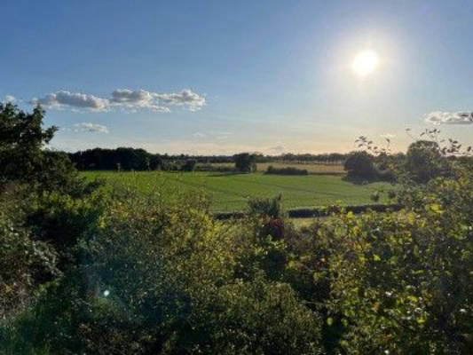 Weite Sicht über die Marsch – Feld, Himmel, Stille