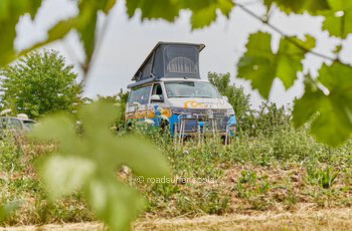 Wein-und Sektgut in Ingelheim