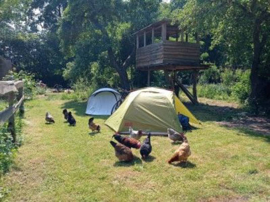 Campsite on small self-catering farm with sauna