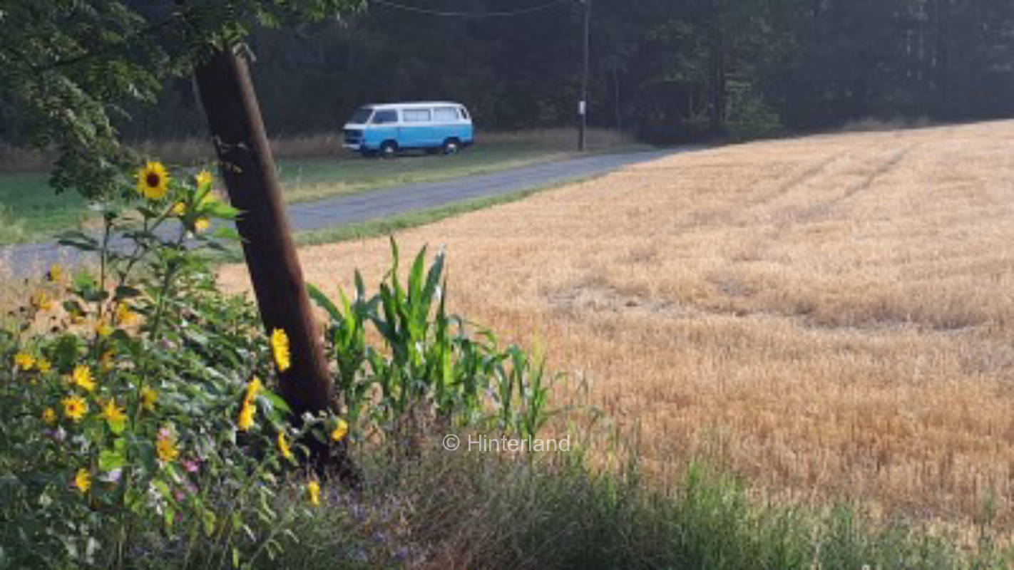 Spend the night on the meadow at the llama farm