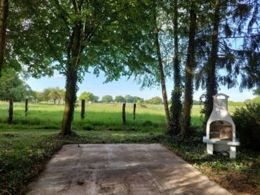 Campsite in the countryside near Walsrode with animals