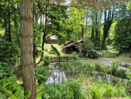 Feel Good in the Sauerland Highlands in Beautiful Wennetal