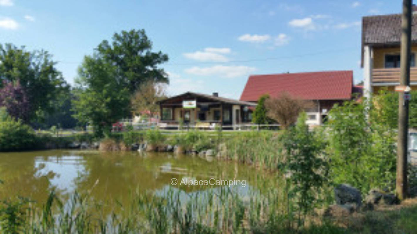 Place on the edge of the equestrian facility - forest meadows horses #2