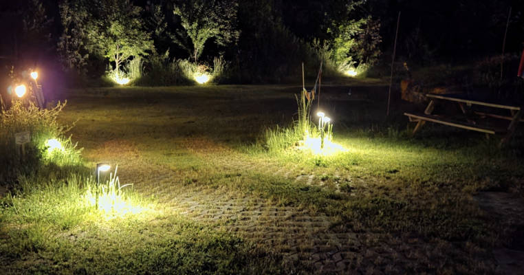 Auf der Wiese