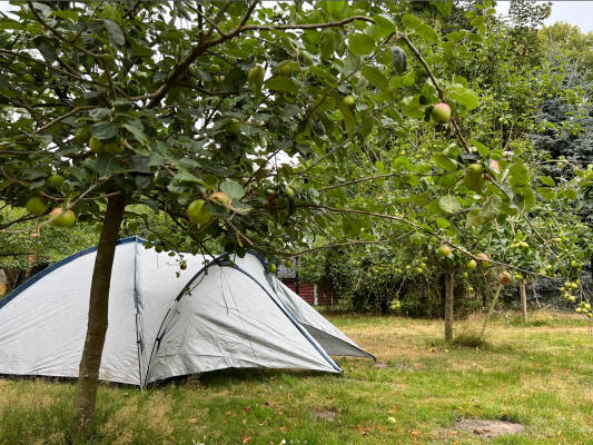 Camping in the fruit orchard by the canal