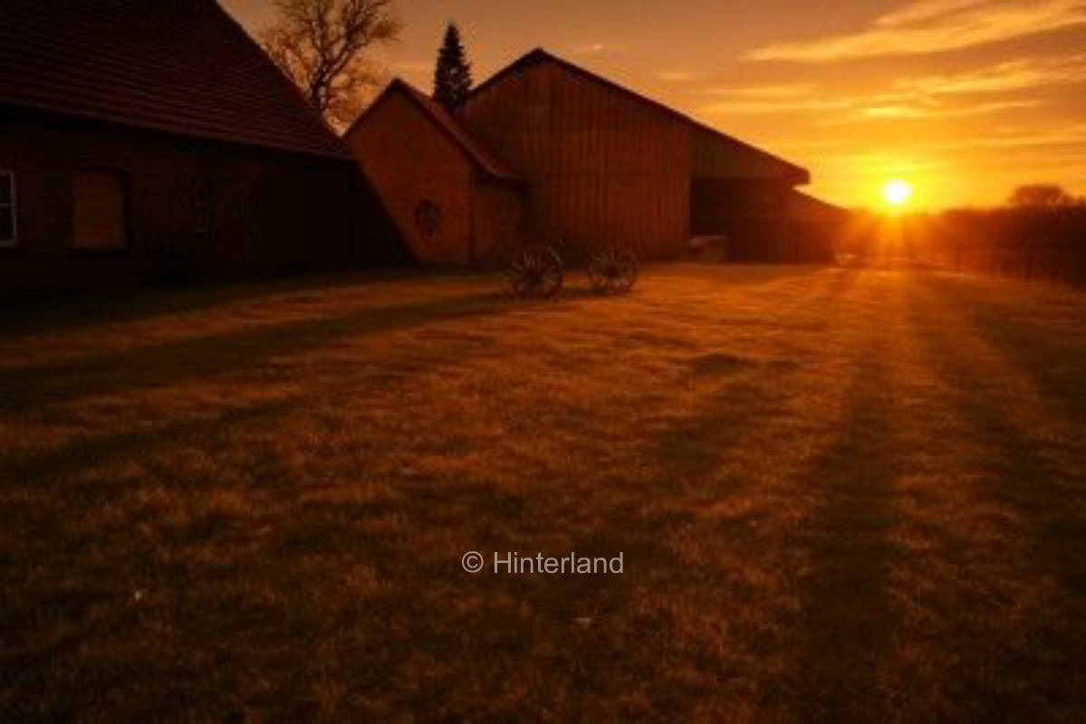 Abgelegener Resthof - campen in idyllischer Natur
