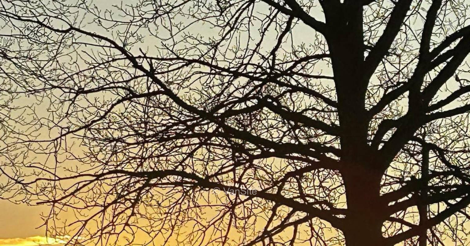 Camping mit Blick auf die Alpakaweide