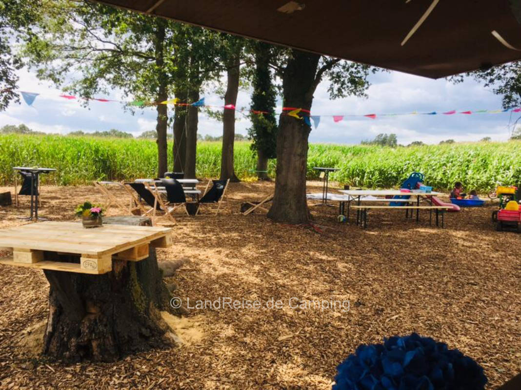 In the middle of the corn maze with wagon and mobile