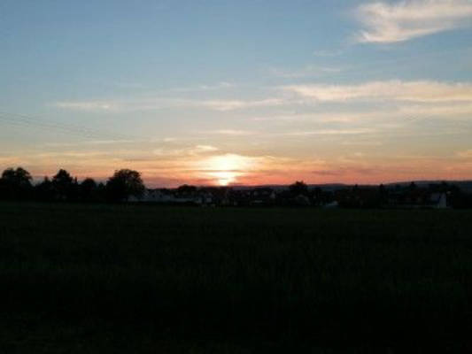 Weingut mit Weitblick ins Rheintal