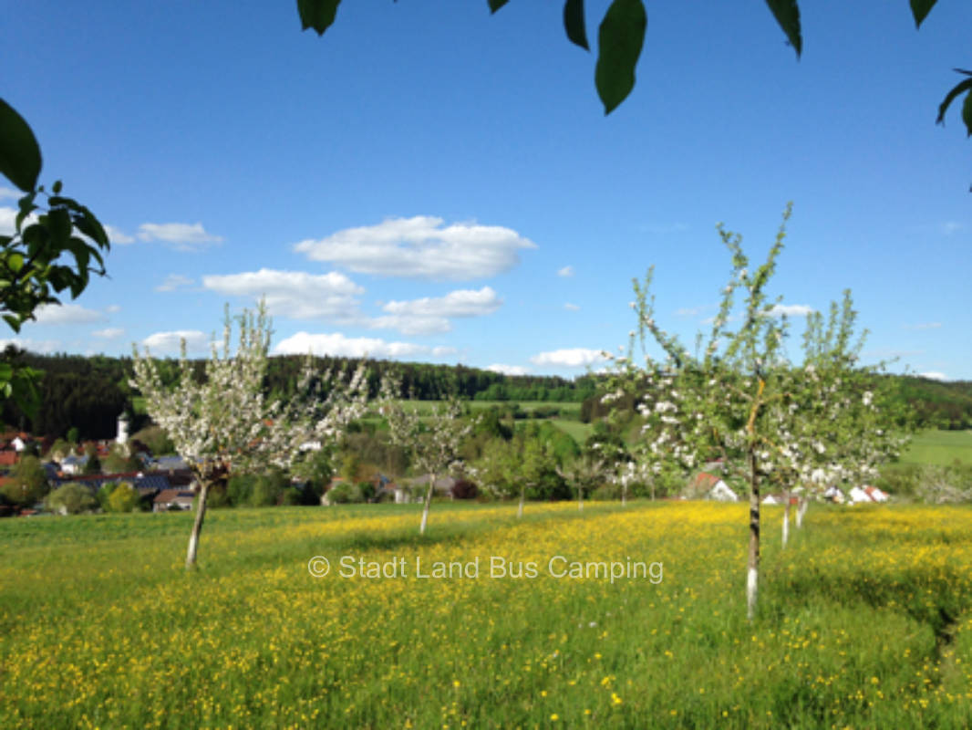 Stellplatz am Saftladen – Eins