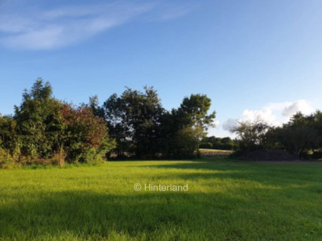 Large meadow in Kossau valley near the Baltic Sea
