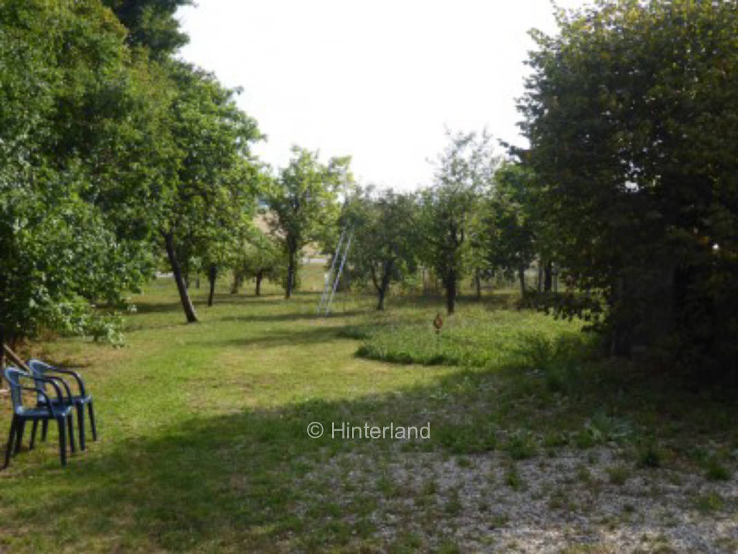 1 x place at fruit tree meadow near Rothenburg o.d.T.