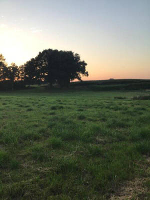 Motorhome pitch in the countryside (Campspace 4414)