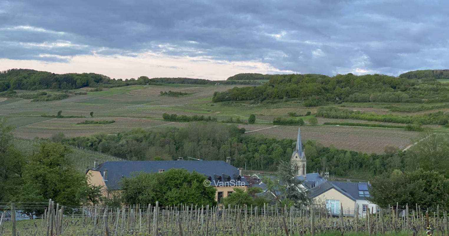 Stellplatz am Weingut