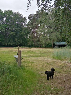 Randow-Idylle: Meadow campsite with animals & playground