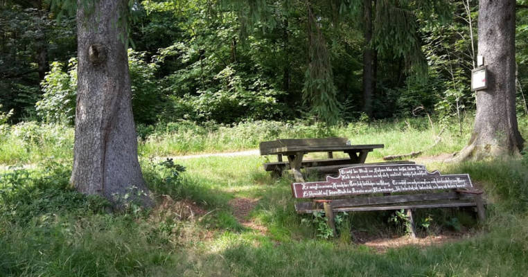 An der Bergwiese