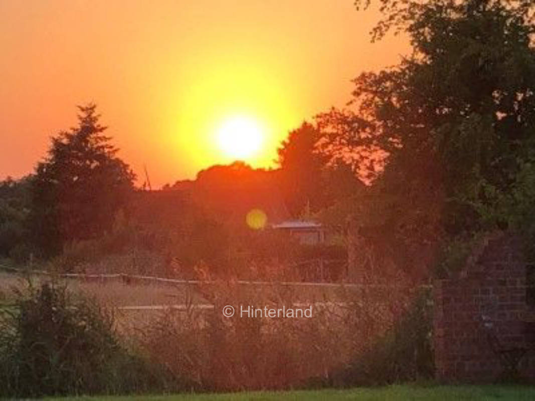 View of the pasture, short way to the lake