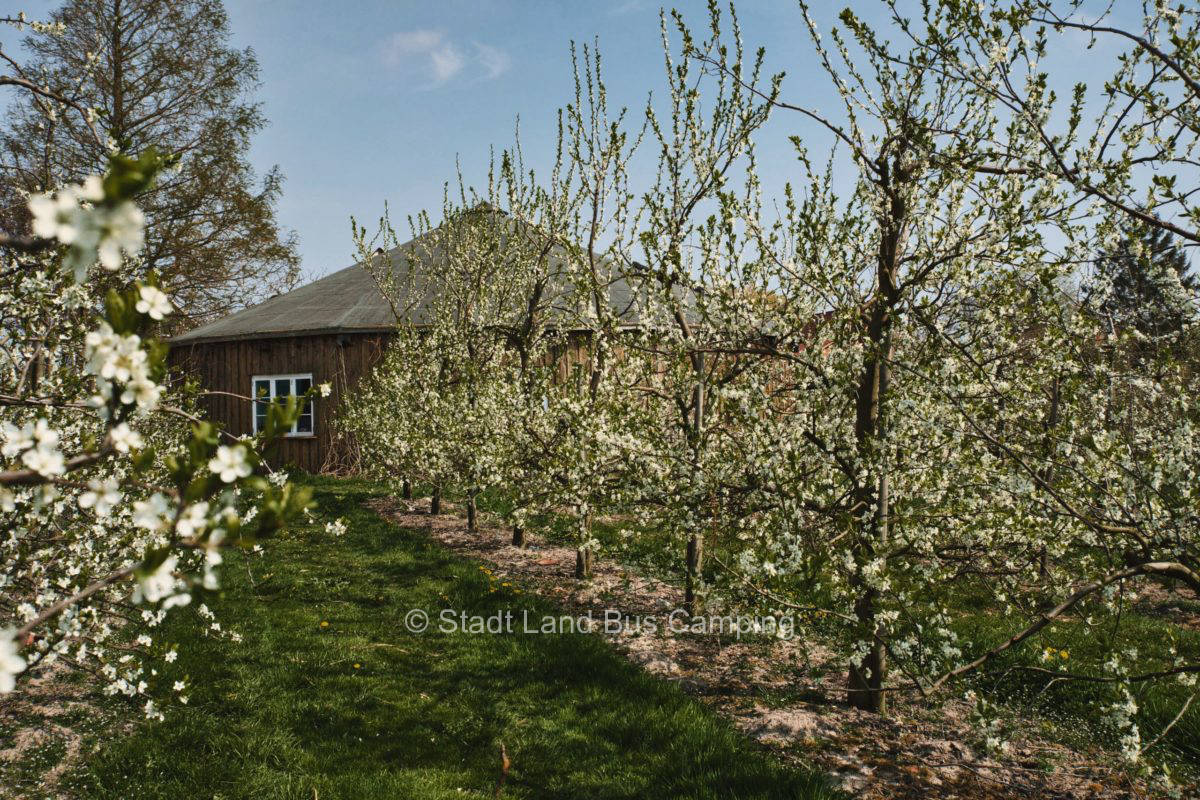 Fruit farm Lefers-Eins