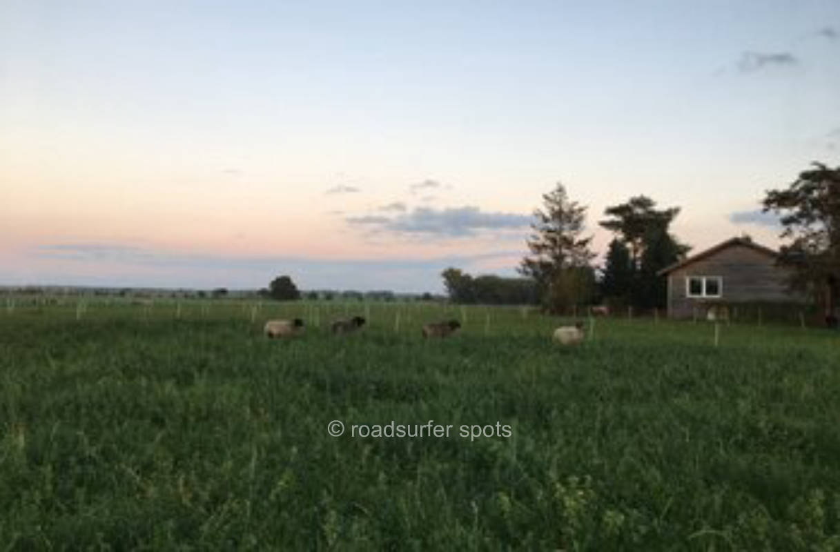 Campen auf der Schafswiese