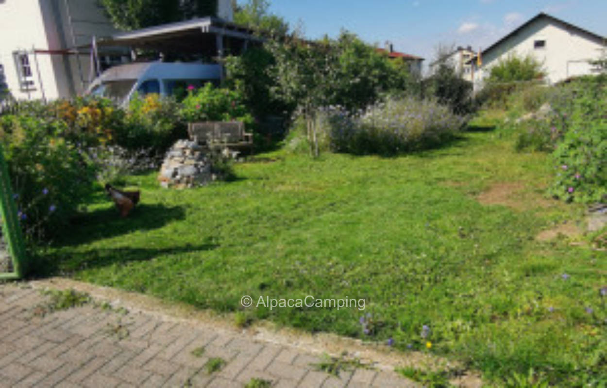 Obstgarten im Westerwald