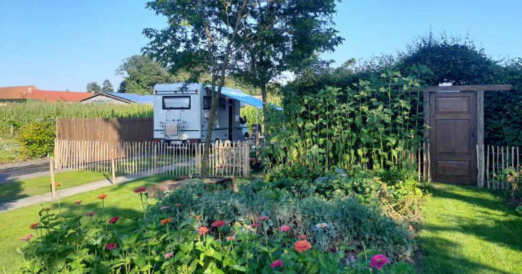 Pitch at the Vegetable Garden