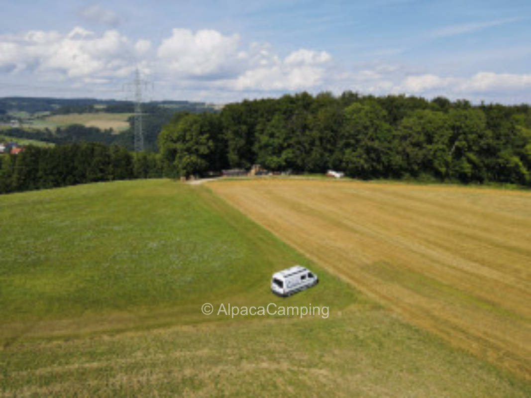 Far view on the meadow #2